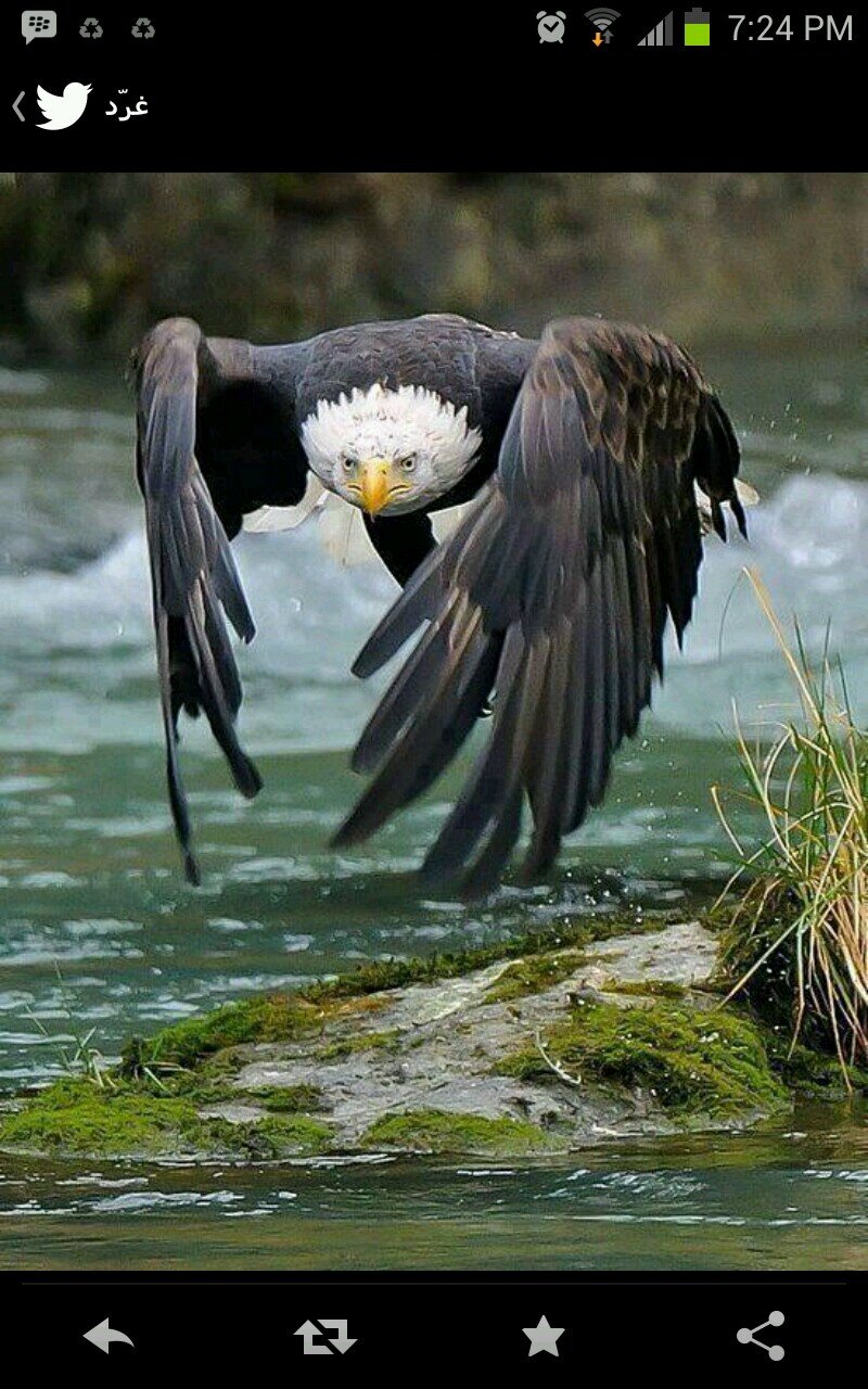 sameeralsaad's profile picture. سبحان الله وبحمده سبحان الله العظيم