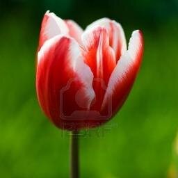 Falsehood is the greatest menace on this Earth. All those on twitter who are truth lovers may follow me.