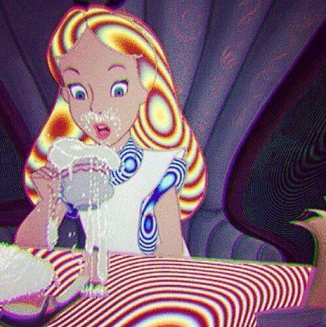 but you are not alice and this is not wonderland (0 days clean)