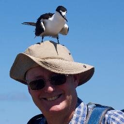 RoutledgeMJ Profile Picture
