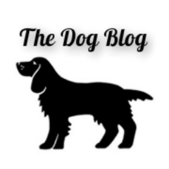 Building a dynamic community for dog lovers. Sharing news, reviews and features on all aspects of the canine world.