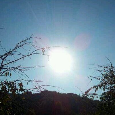 おこのぼう