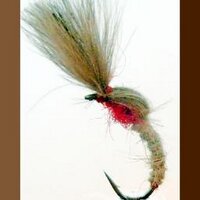 Paul campbell (@a1troutflies) 's Twitter Profile