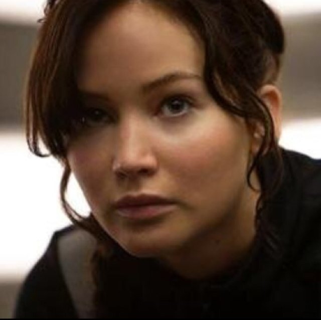 Two people became the sparks to a rebellion, one tiny act turned into a domino effect. She said because of me there is finally hope for Panem.. ♡ {Single/RP}