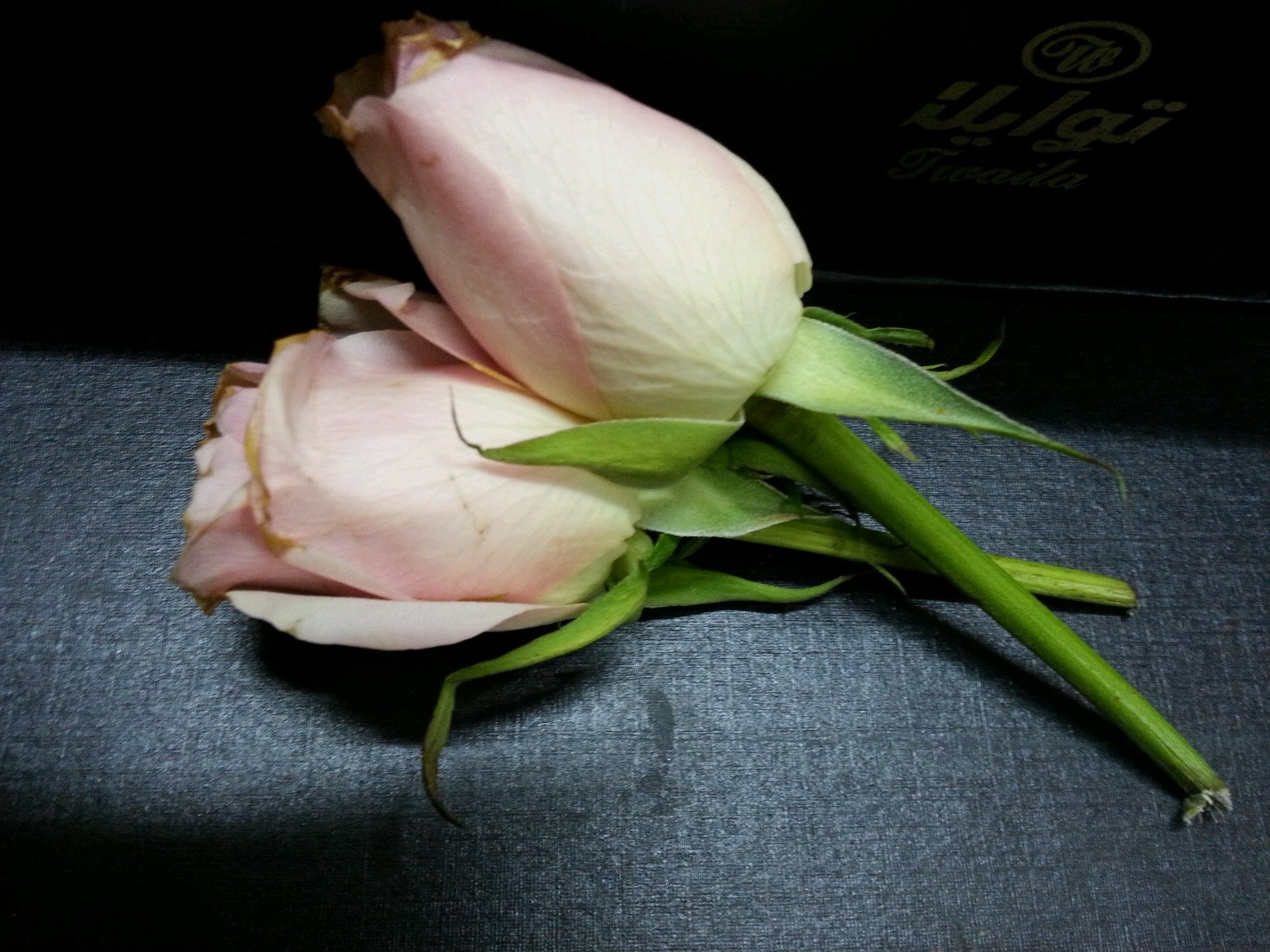غرور انثى