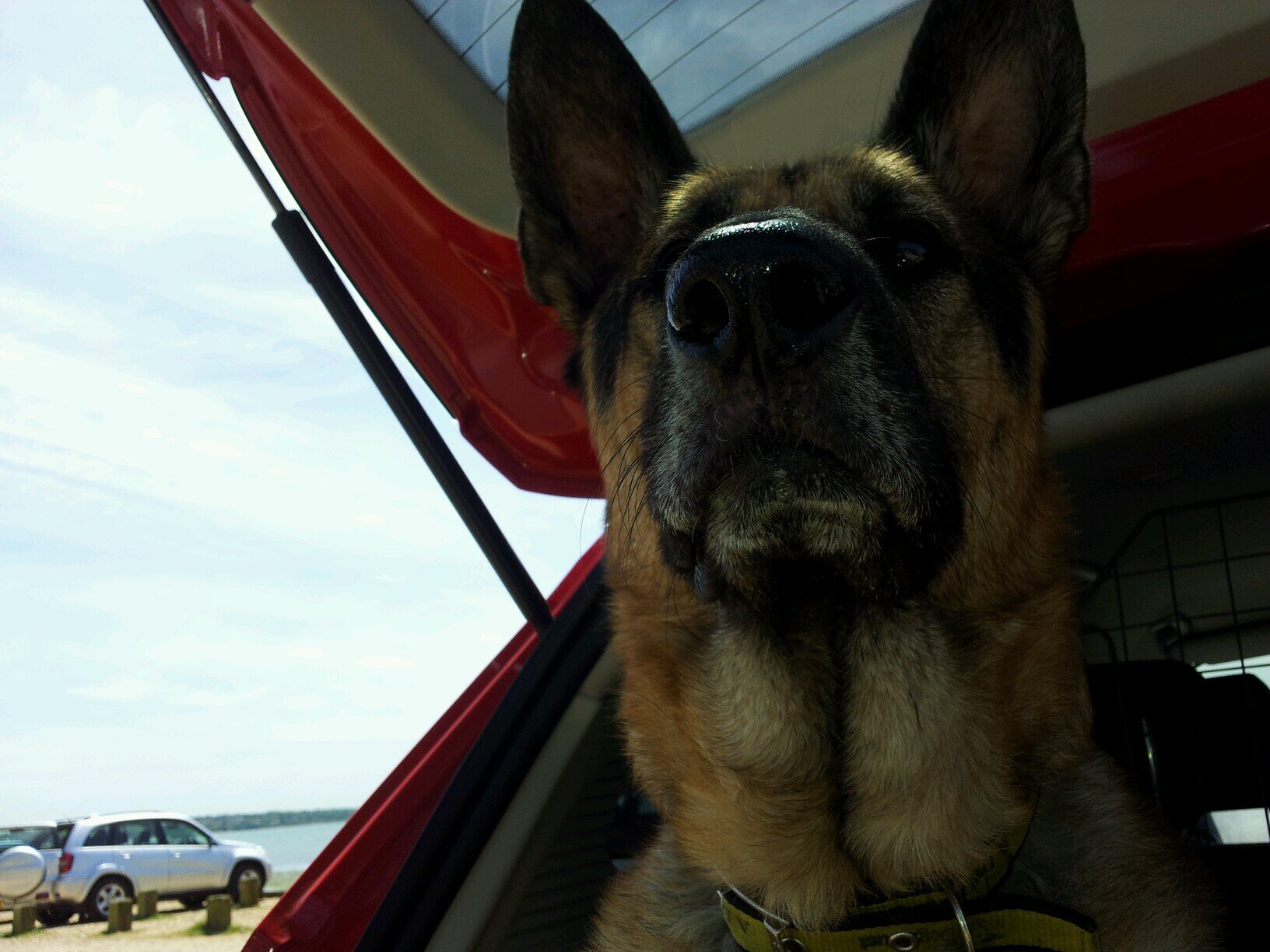 allie hathaway Profile