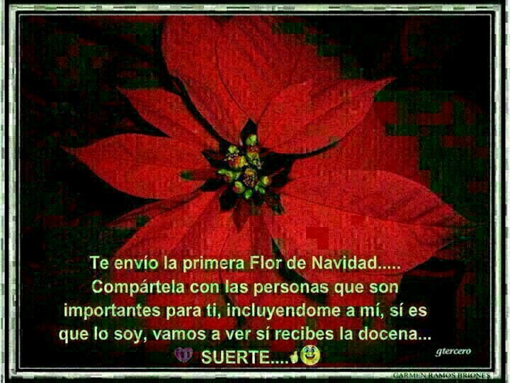 CabaneroMari's profile picture. 