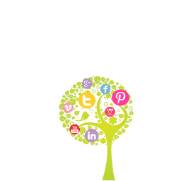 Social Media Strategy, Content Creation, Social Media Management, Training