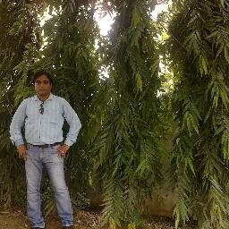 Rajeshsingh007's profile picture.
