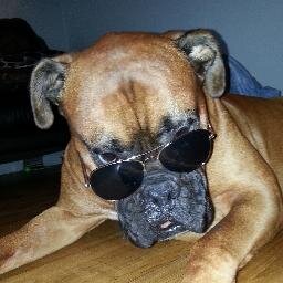 bouledeneige27's profile picture. 