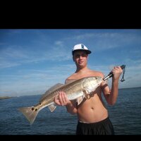 Mitchell Horowitz (@mitch_pitch23) 's Twitter Profile