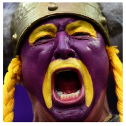 Go Vikes! This is a Vikings fan site.