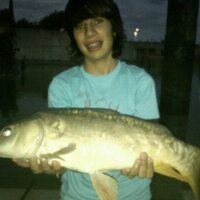 Aaron carpfishing (@aaroncarpfish) 's Twitter Profile