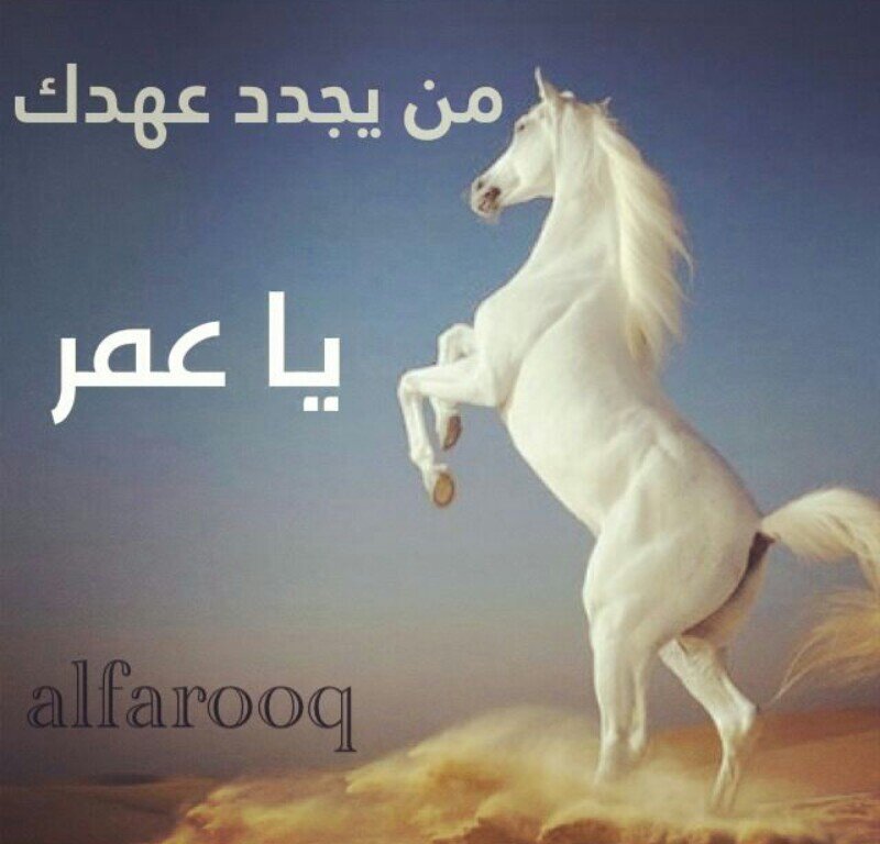 اري الدنيا لمن هي في يديه عذابا كلما كثرت لديه..تهين المكرمين لها بصغر وتكرم كل من هانت عليه