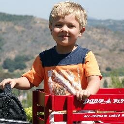 Get outside and play! Ask the WagonMan about which wagon and other ride-on-toys to buy for your kids. Amazon Affiliate and all around cool guy!