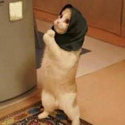 おもしろ画像 最新情報 Funny Imgs Twitter おもしろ画像 最新情報 Funny Imgs Twitter