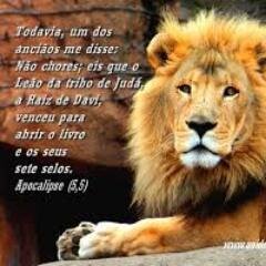 Sou Uma Pessoa Feliz