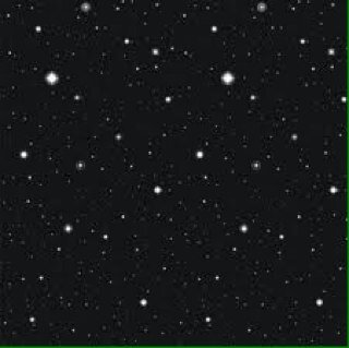 Wxrthless__'s profile picture. 