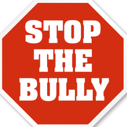 Working towards bully prevention one high school student at a time!