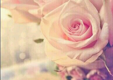 ‏‏‏‏‏فُُتٌٌاهّّ اتٌٌمًًيِِزٍٍ بًًشُُخِِصّّيِِتٌٌيِِ لََيِِ مًًطِِلََقُُ الََحًًريِِهّّ فُُيِِ اتٌٌخِِاذِِ قُُراراتٌٌيِِ اسِِمًًيِِ مًًکْوٌٌنِِ مًًن(4)احًًرفّ