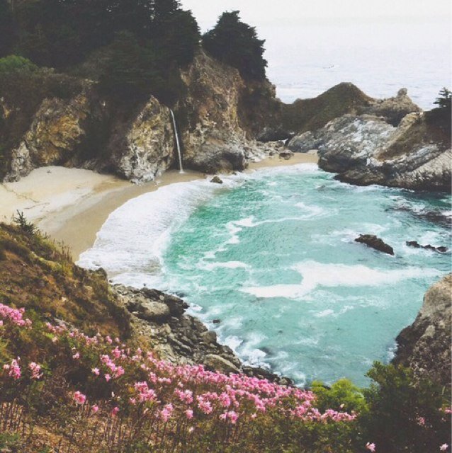 Please follow @lucymachelx bc i gave you a free follow (: