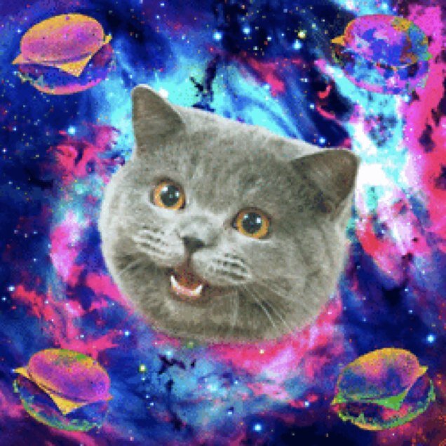 Meow motherfucker