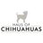 Profile Picture of Haus Of Chihuahuas (@@Hausofchi) on Twitter