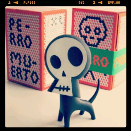 zittar's profile picture. de Iztapalapa para el mundo 😎