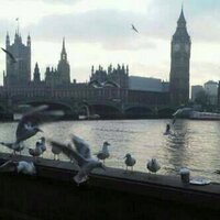 هُــدُوًء أُنَثــٓىٌ (@2014_roooroo) Twitter profile photo