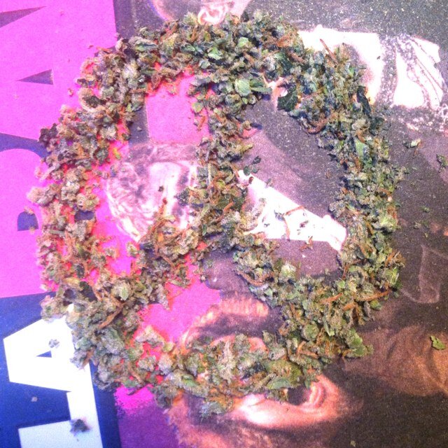 There's no such thing as too much weed. #livefree ✌