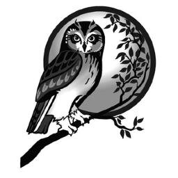 Christine Tetau, von Penelope Smith persönlich lizensierte Ausbilderin für Tierkommunikation. Webinare und Jahresgruppen.