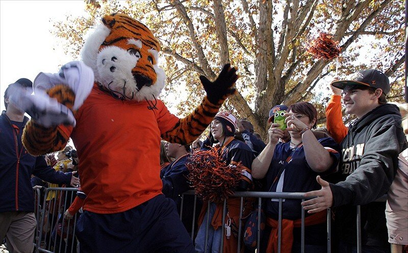 beat bama