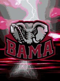 driver_natasha's profile picture. 