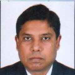 Pareshroychowdh's profile picture. 