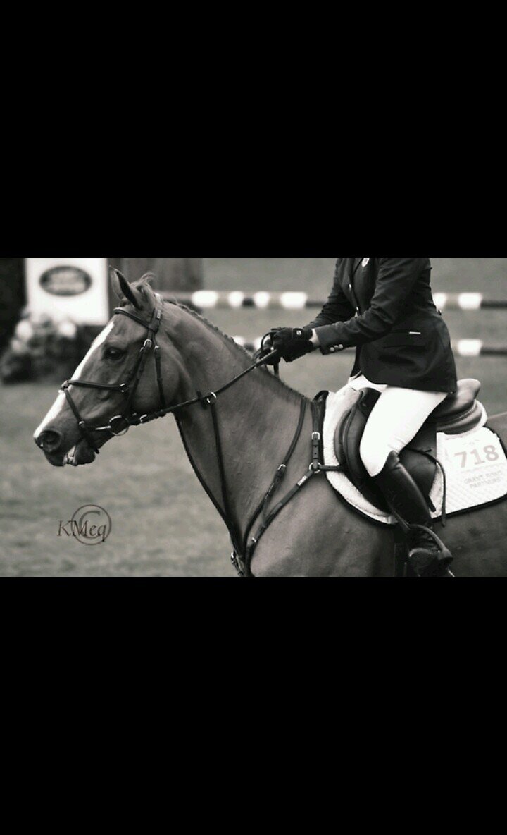 Just an equestrian that's doesn't drink, do drugs, or hook-up at horse shows. Yes we do still exist.
