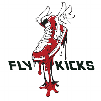 nike fly kicks