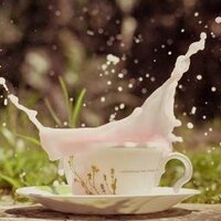 أحمد عبده (@ahmedabdou21) 's Twitter Profile