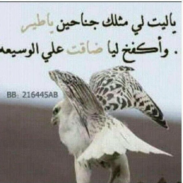 ‏مرحباً بكم 
وهلا بالجميع