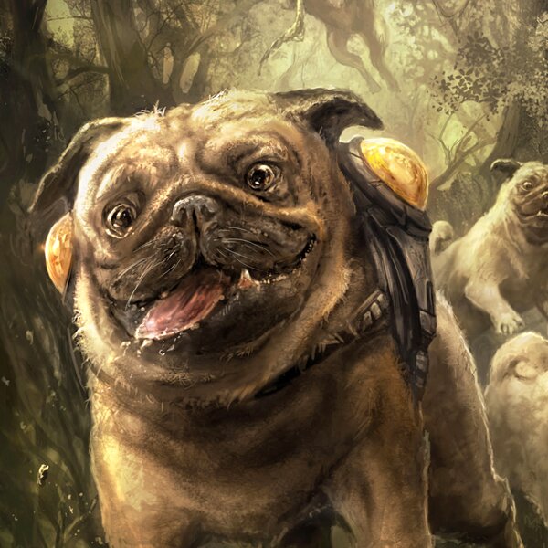 Ember Puglingさんのプロフィール画像