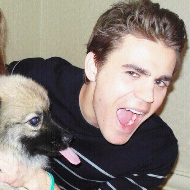 hey i just gave you a free follow, please follow @fand0mlove, xoxo