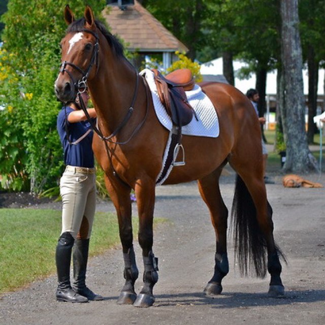 It doesn't matter if you are the best, you have to act like the best.
The original OTTB life