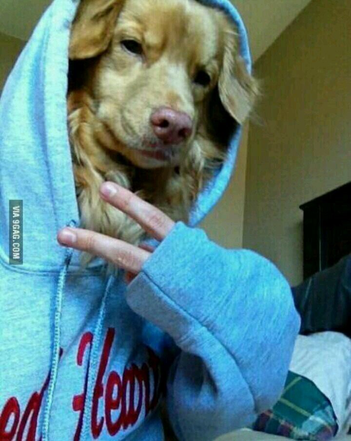 Let's not be basic together.