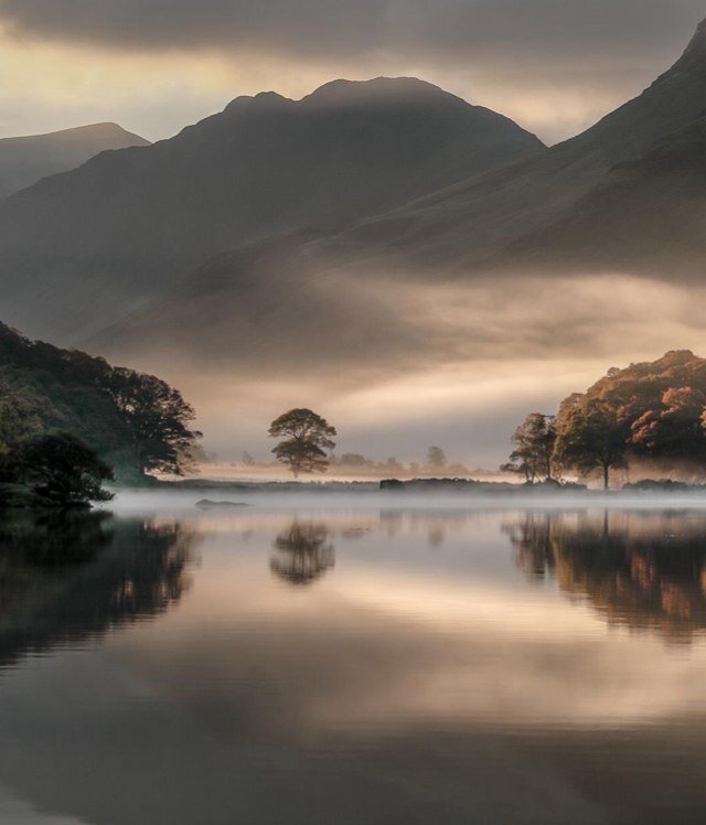 YangyinXu's profile picture. 