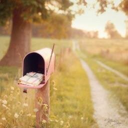 chichichinatsu8's profile picture. テクノPOP大好き