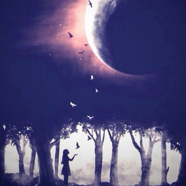 ahippywondrland's profile picture. Find me with love in my eyes and flowers in my hair