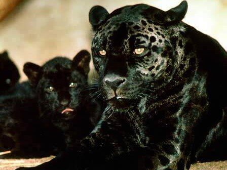 mixednuts428's profile picture. 