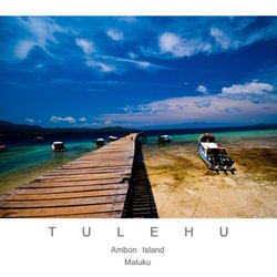 FthrUmrlla's profile picture. Friendship often ends in love But love sometimes ends not with friendship