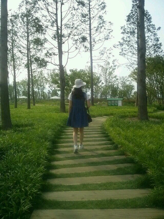 csj21284's profile picture. 