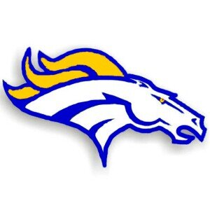 Madeira Mustangs Profile