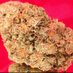 GOLD RUSH DELIVERY (@goldrushdeliver) Twitter profile photo